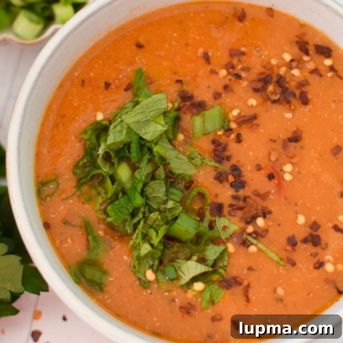 The Ultimate Collection of Lentil Soup Recipes 5 Turkish Lentil Soup 1200 x 1200