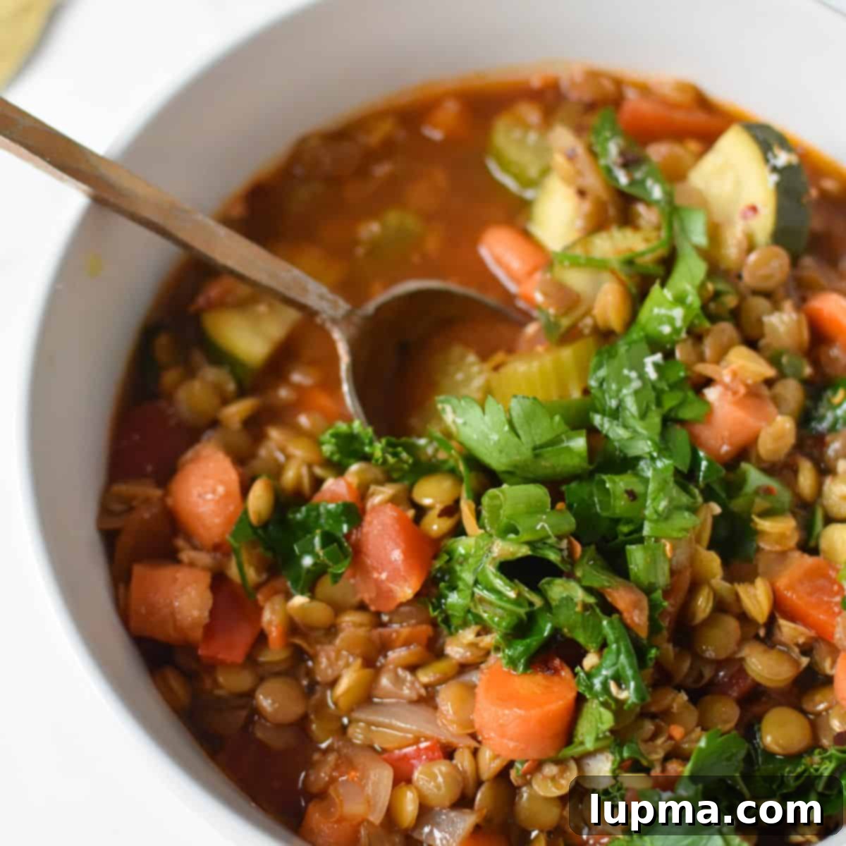 The Ultimate Collection of Lentil Soup Recipes 8 Italian Style Lentil Soup