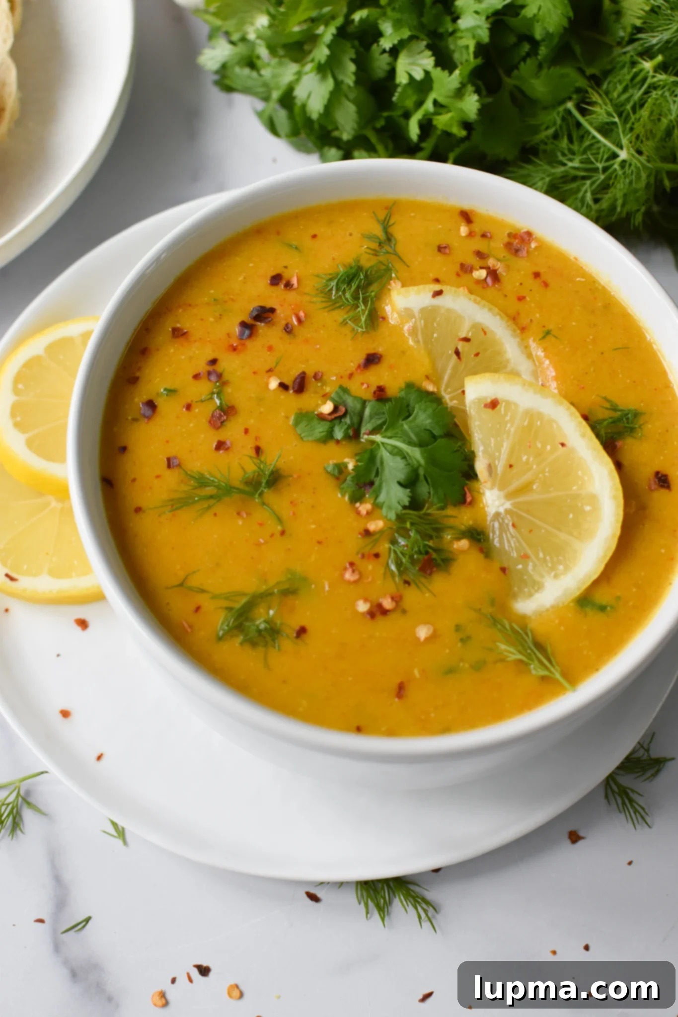 The Ultimate Collection of Lentil Soup Recipes 9 Lemon Lentil Soup Recipe with cilantro and dill.