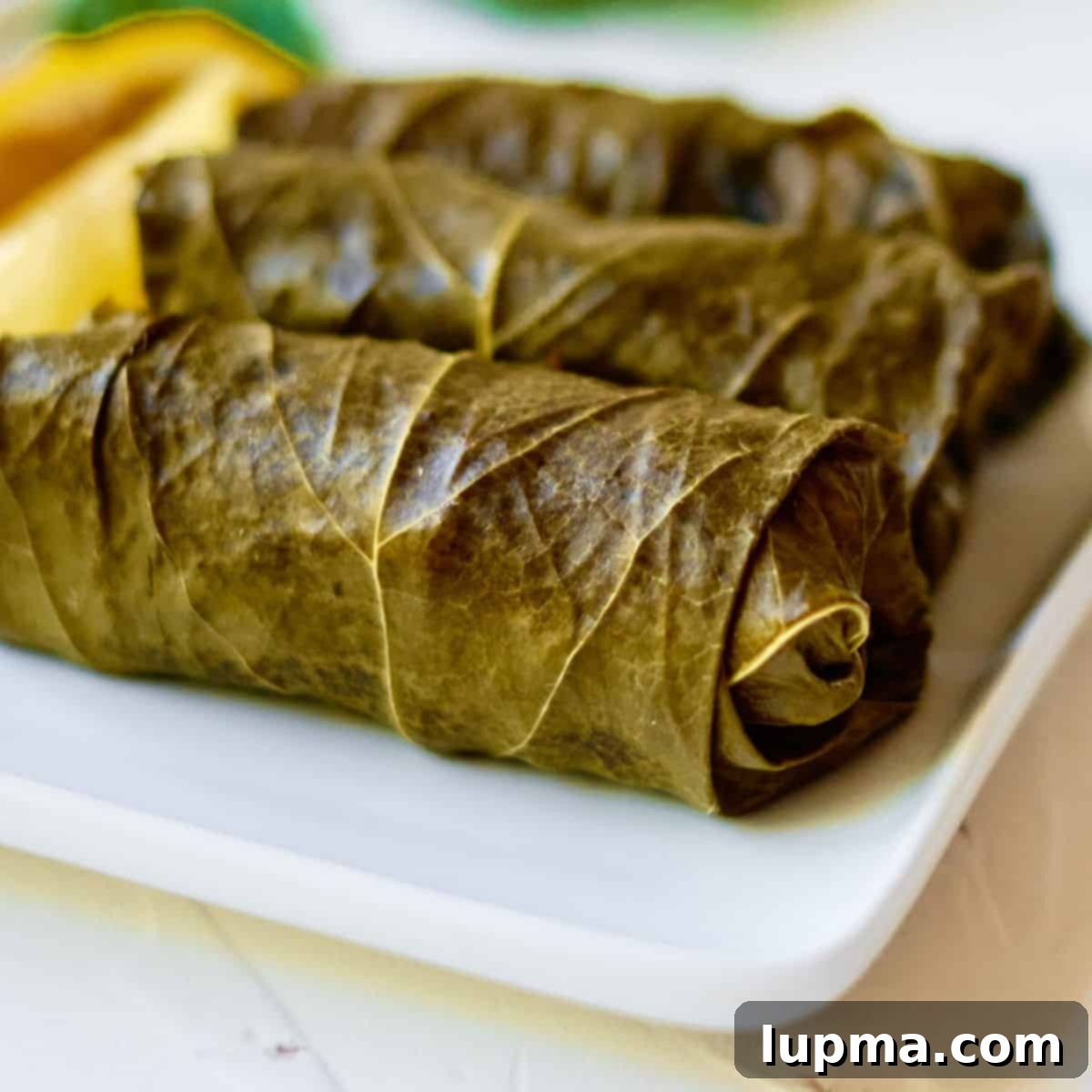 Stuffed Grape Leaves