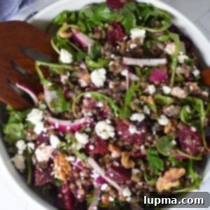 Lentil and Beet Salad in a white bowl