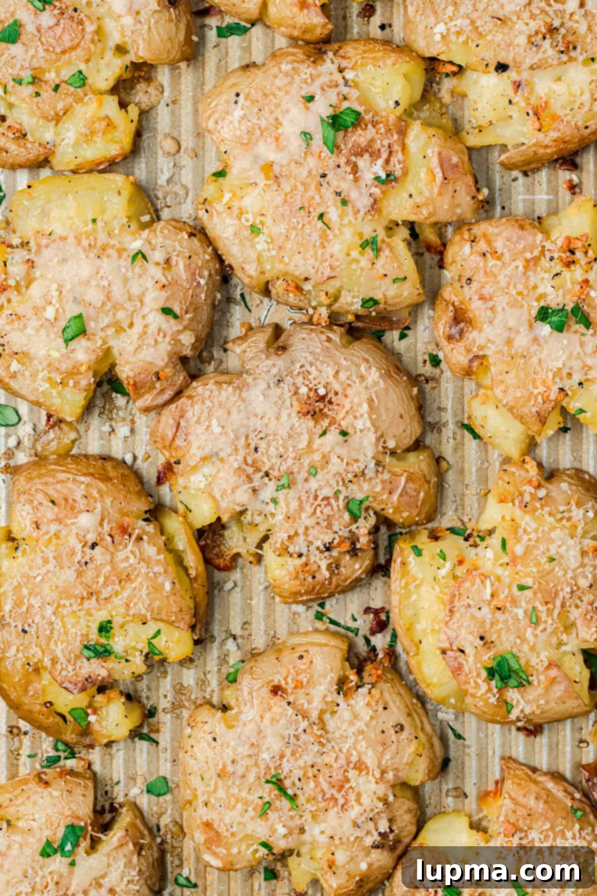 Parmesan crusted smashed potatoes