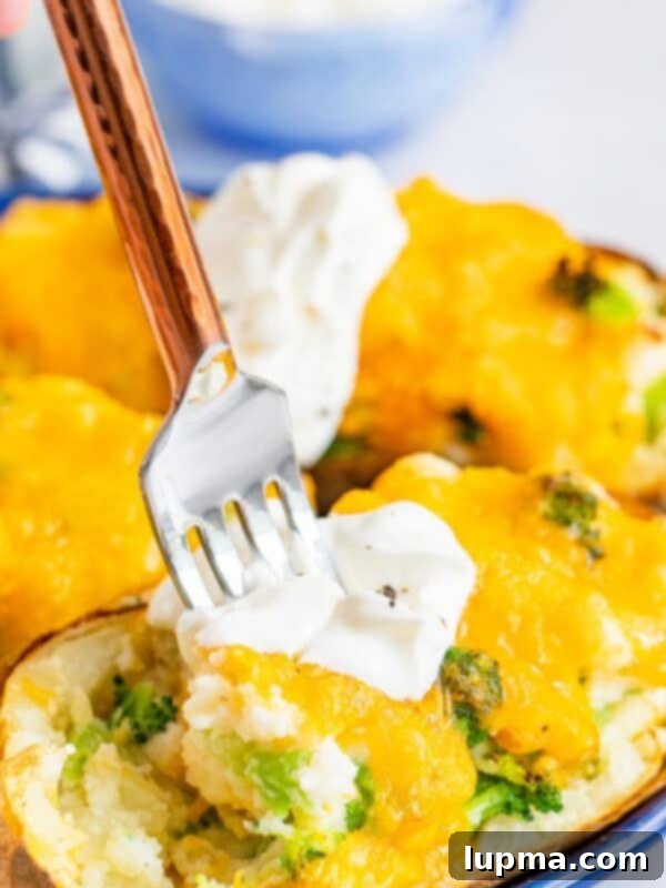 Air Fryer Twice Baked Potato
