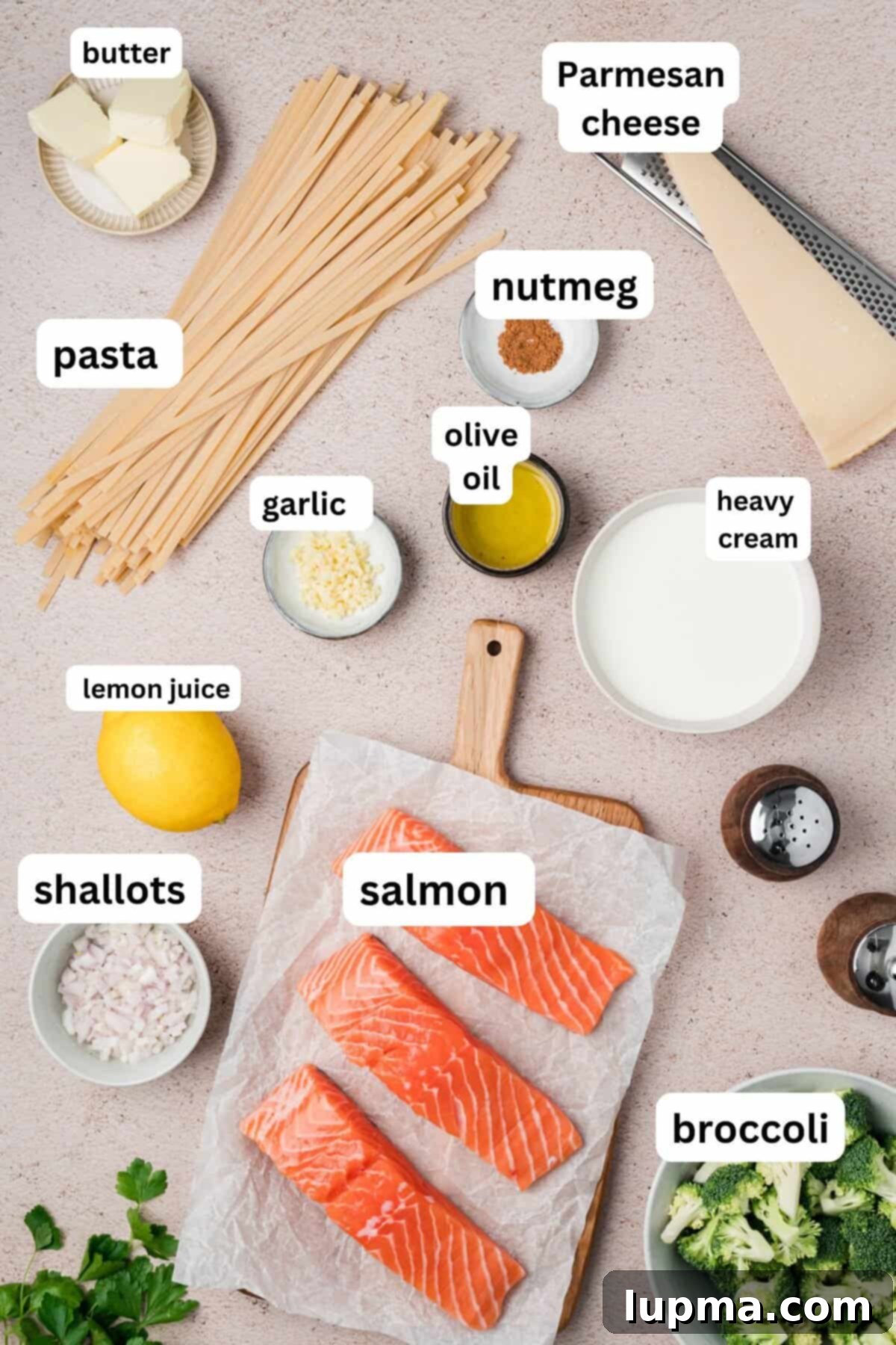 Creamy Salmon Pasta recipe ingredients