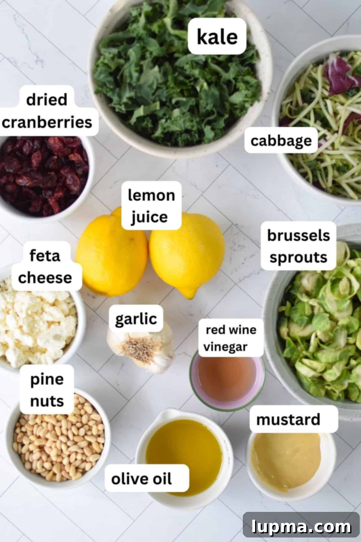 Close-up of fresh, vibrant ingredients for Kale Brussels Sprout Salad, including kale, shaved Brussels sprouts, and cranberries
