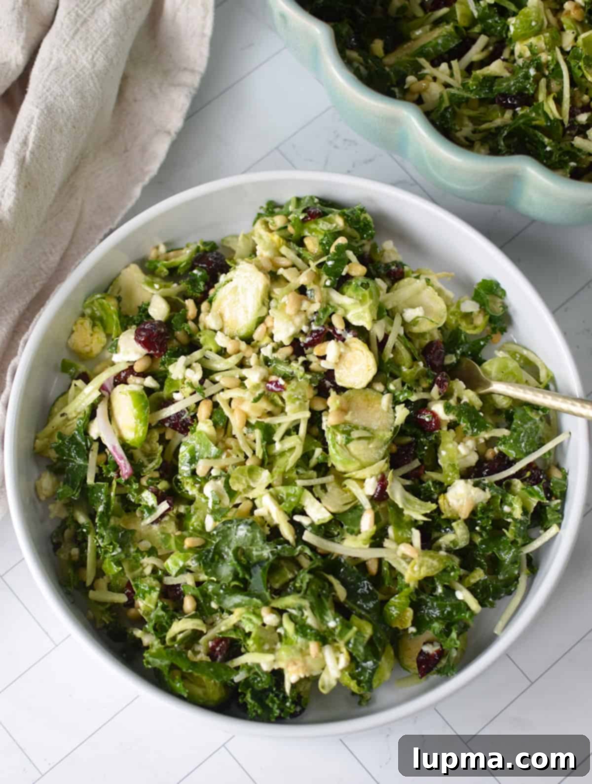 Green Leafy Salad with shredded kale, brussels sprouts and cranberries, showcasing the vibrant colors and fresh ingredients