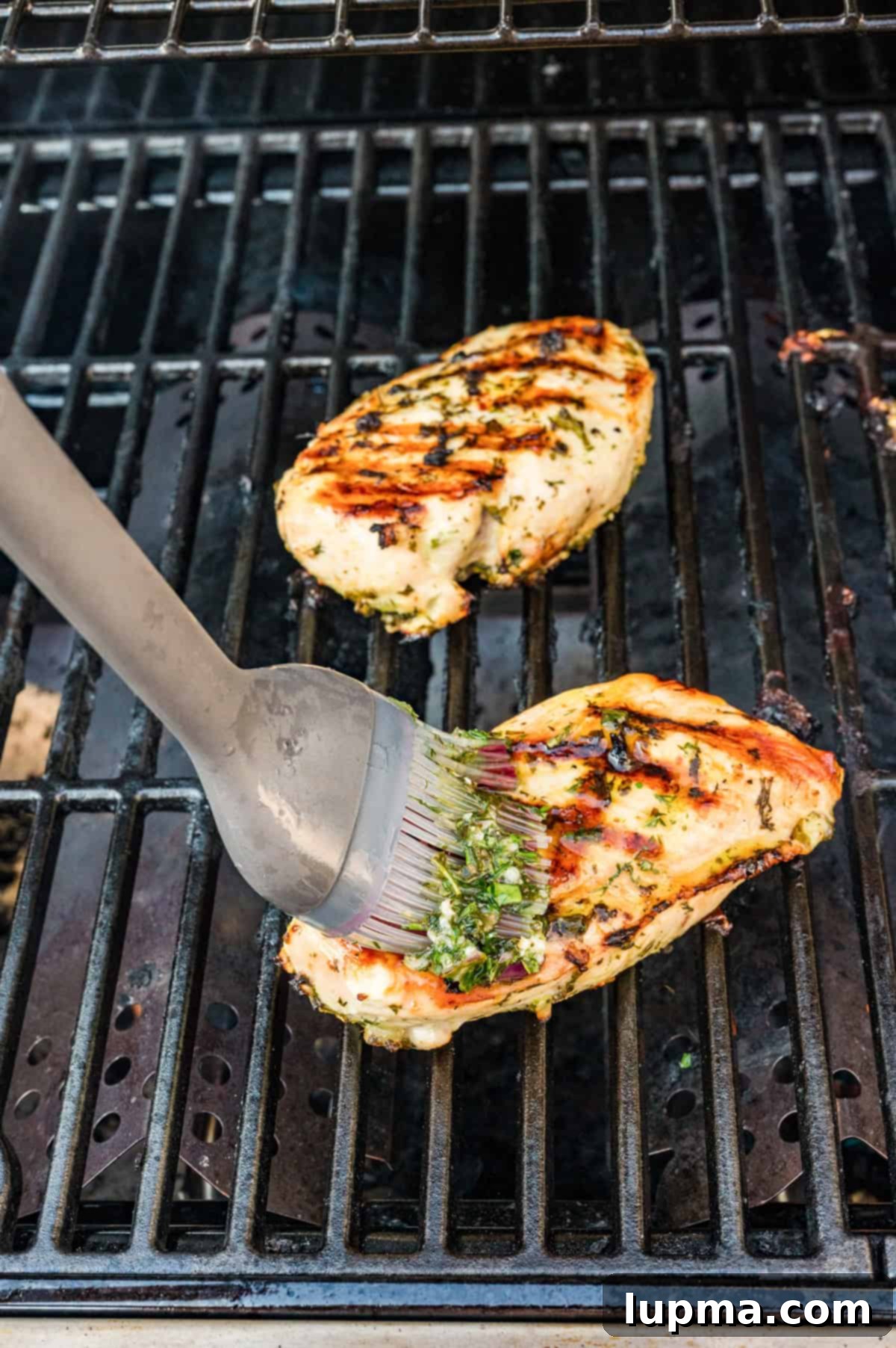Marinated Mediterranean chicken breasts grilling with perfect golden char marks on an outdoor grill.