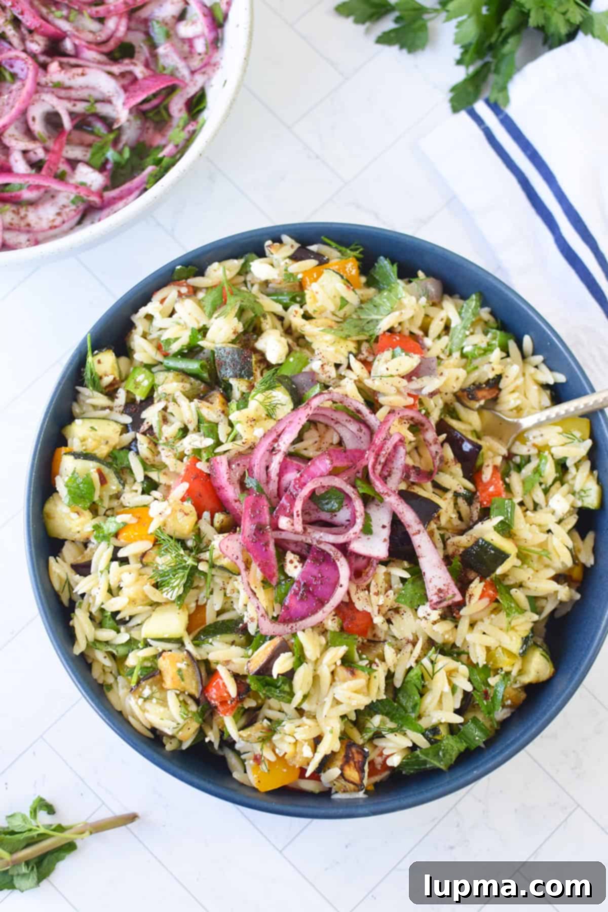 Sumac Red Onions on an orzo salad 