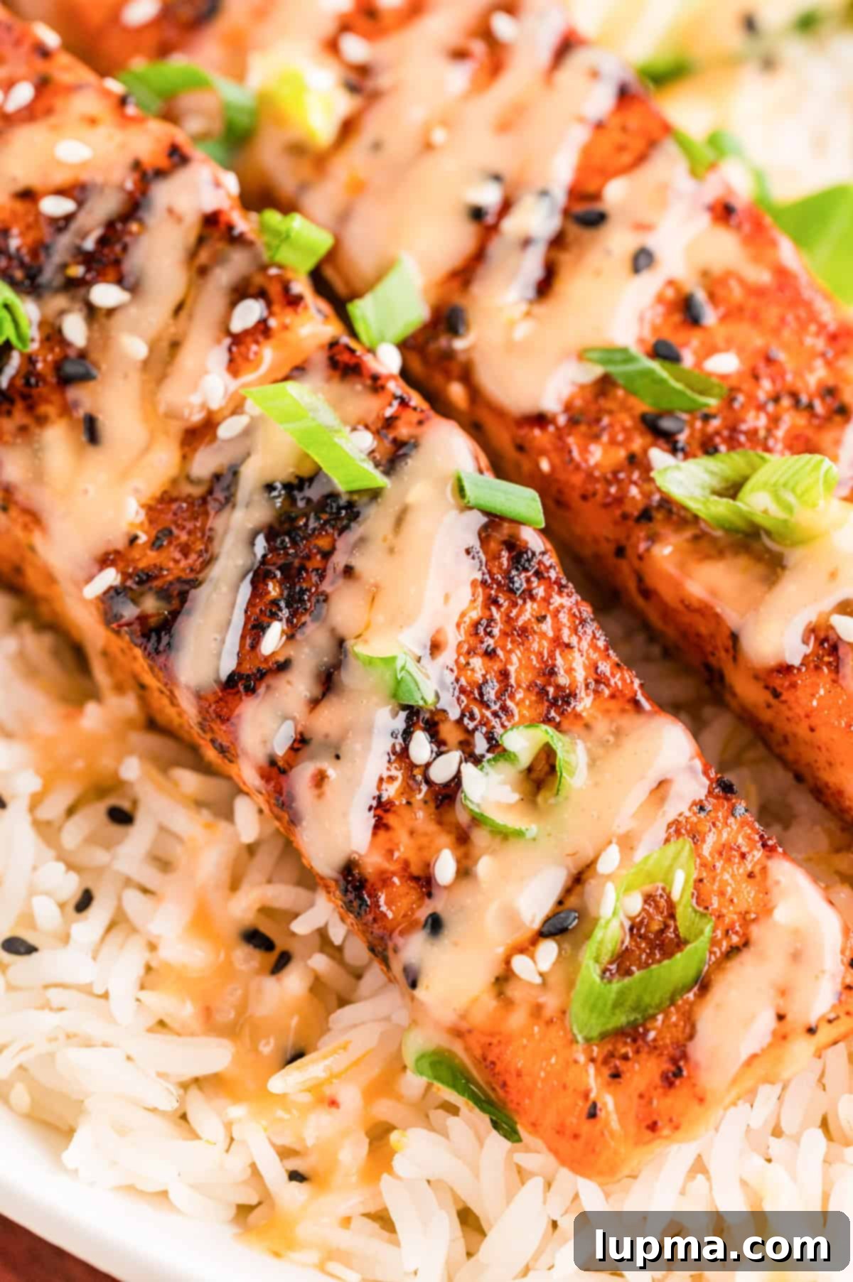 Up Close Bang Bang Salmon with Sauce and Green Onions 