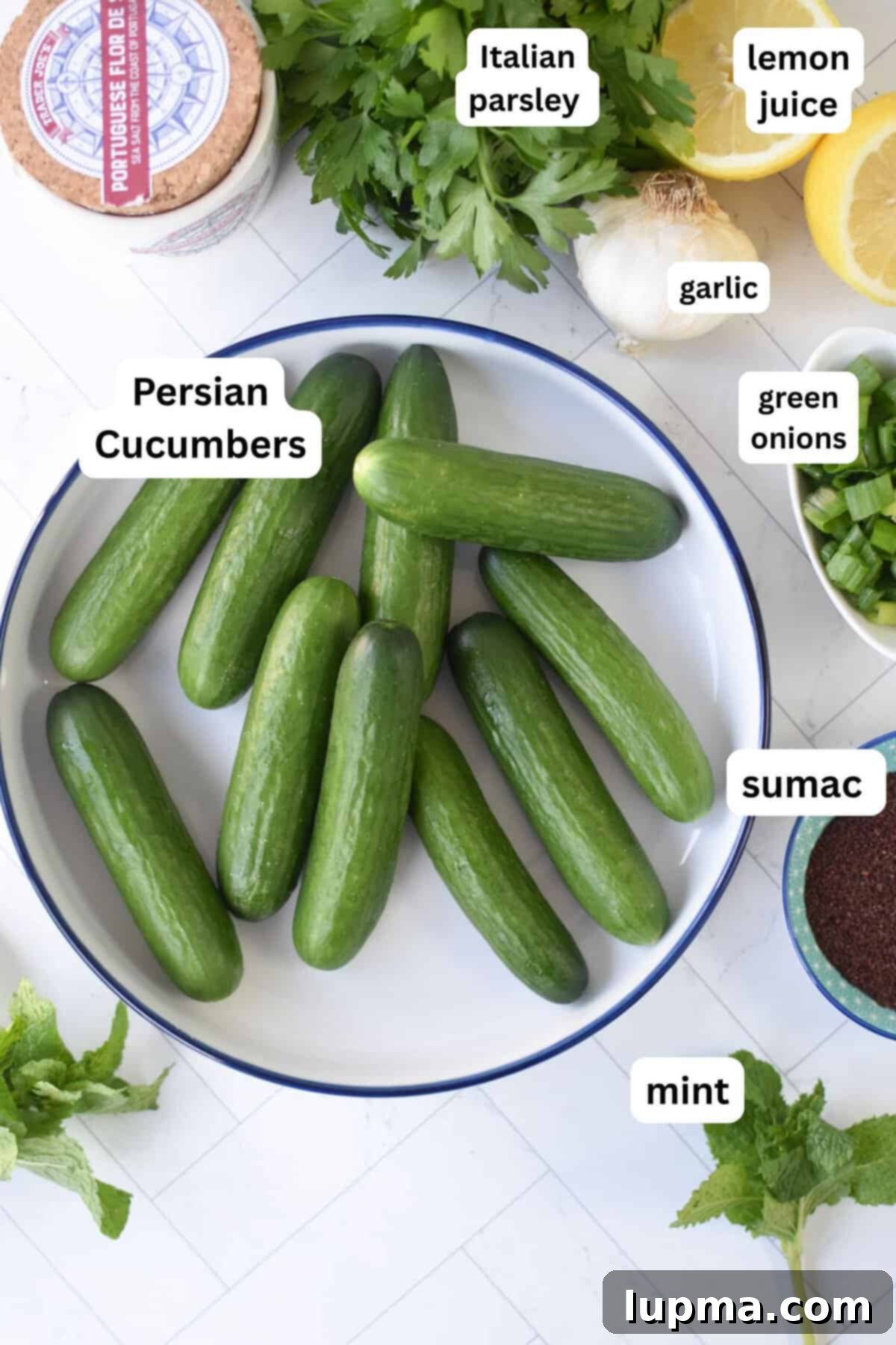 Ingredients for Lebanese Smashed Cucumber Salad including Persian cucumbers, sumac, and fresh mint