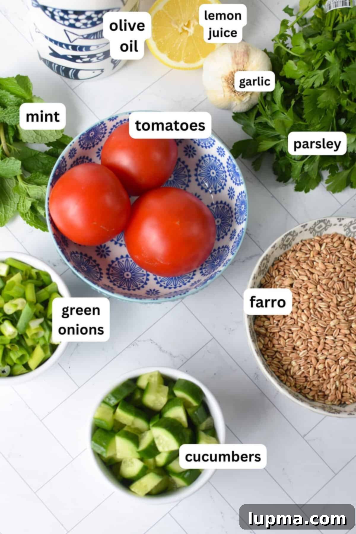 Assortment of fresh Farro Tabbouleh Recipe Ingredients including farro, parsley, mint, tomatoes, cucumbers, and lemons.