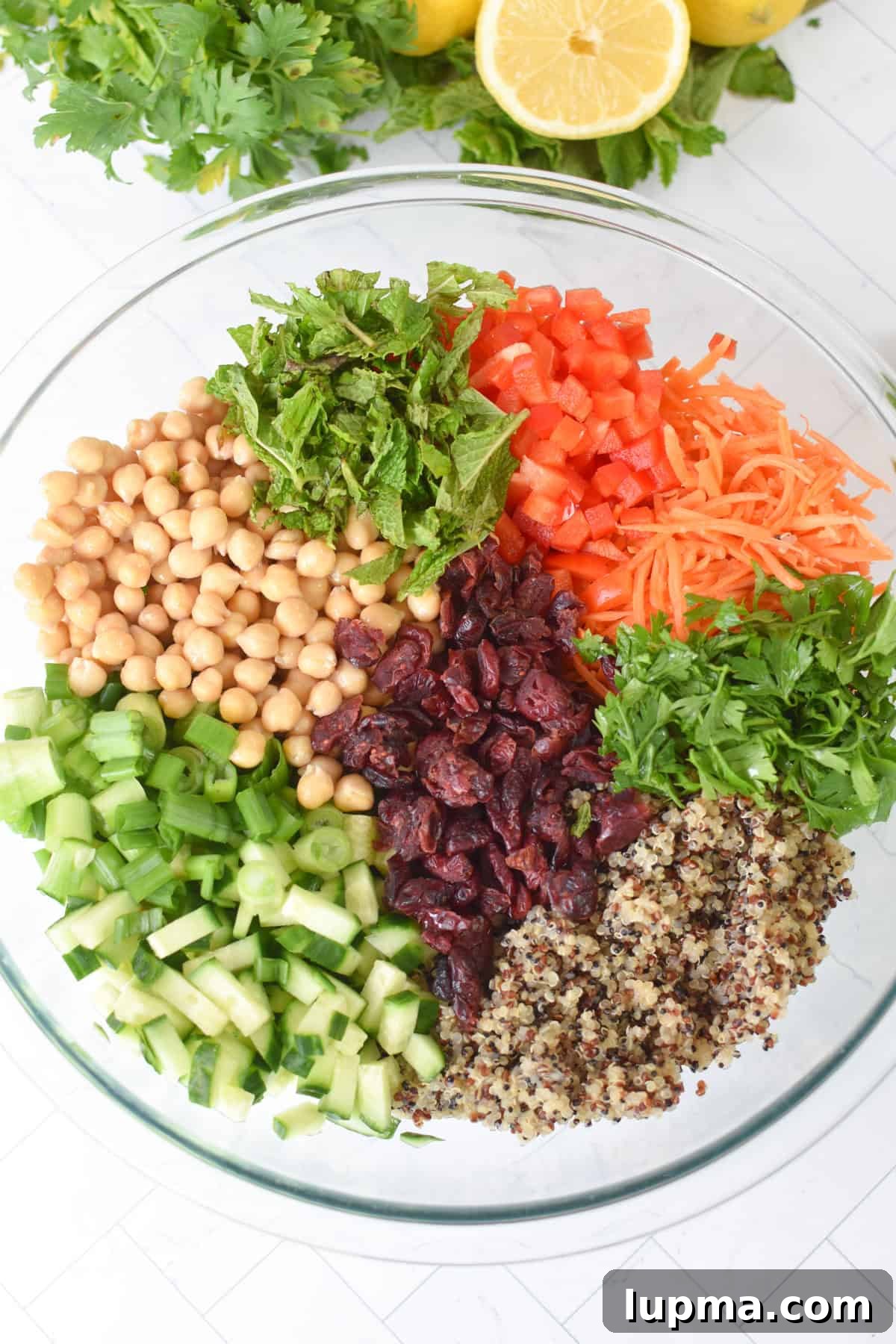 Moroccan Chickpea Salad with Roasted Veggies & Citrus Dressing 8 Quick Moroccan Chickpea Quinoa Salad