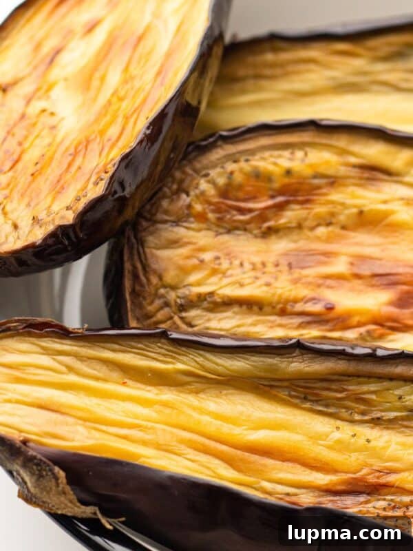 Mediterranean Stuffed Eggplant with Garlic Yogurt Sauce 14 Air Fryer Eggplant 1200 x 1200