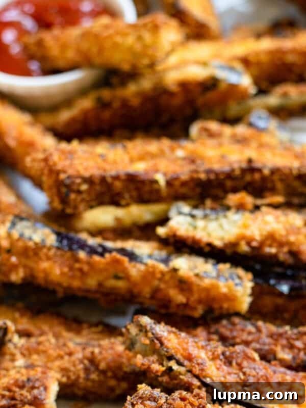 Mediterranean Stuffed Eggplant with Garlic Yogurt Sauce 15 Air Fryer Eggplant Fries Recipe with ketchup