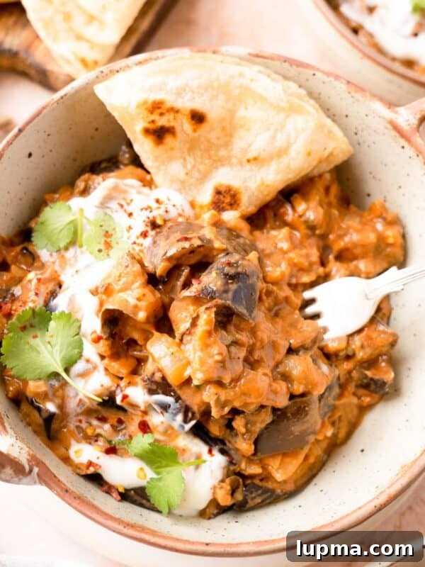 Mediterranean Stuffed Eggplant with Garlic Yogurt Sauce 17 Easy Eggplant Curry in a white bowl