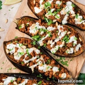 Mediterranean Stuffed Eggplant with Garlic Yogurt Sauce 18 img 94484 17
