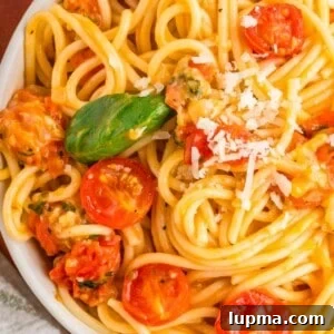 Cherry Tomatoes and Basil Pasta
