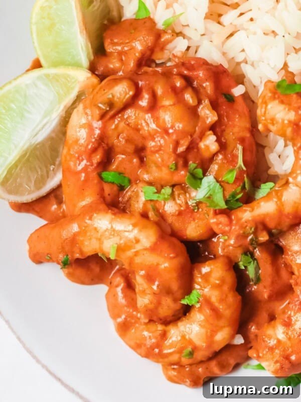 Grilled Shrimp Salad with Cilantro-Lime Vinaigrette 15 Easy Shrimp Curry