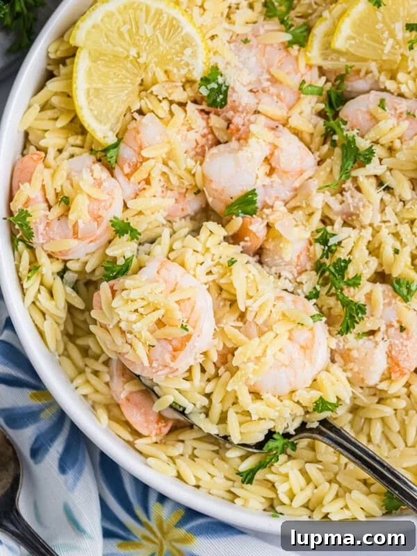 Grilled Shrimp Salad with Cilantro-Lime Vinaigrette 16 Lemon Shrimp and Orzo