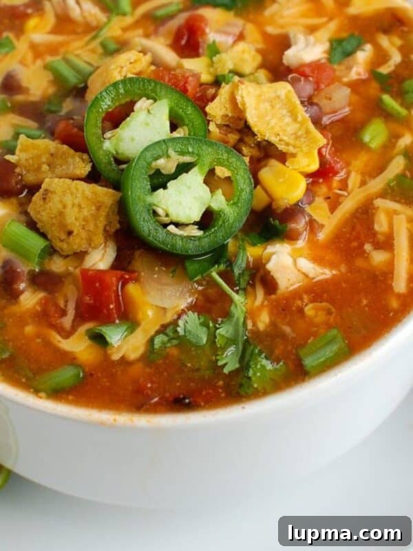 Chicken Enchilada Soup 1200 x 1200