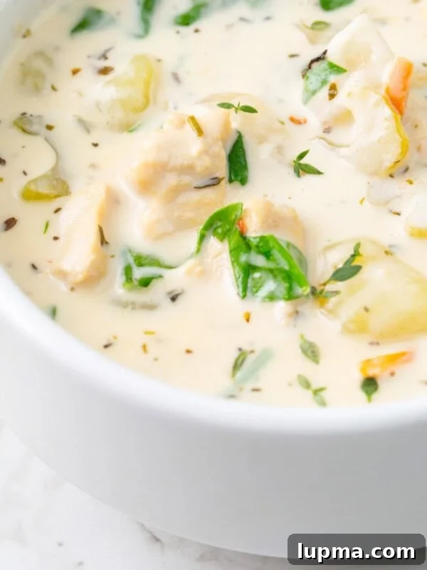Copycat Olive Garden Chicken Gnocchi Soup in a white bowl up close