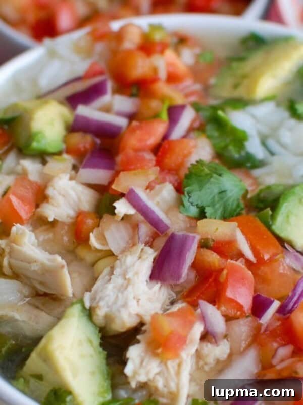 Slow Cooker Mexican Chicken Lime Soup Image 1200 x 1200