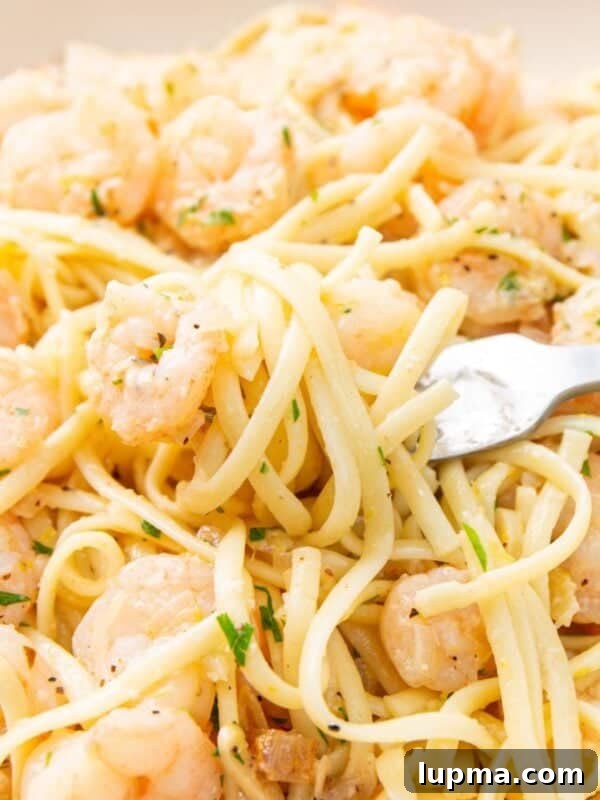 Sausage and Fennel Pasta with Lemon and Parmesan 16 Lemon Garlic Shrimp Pasta in a bowl with a fork