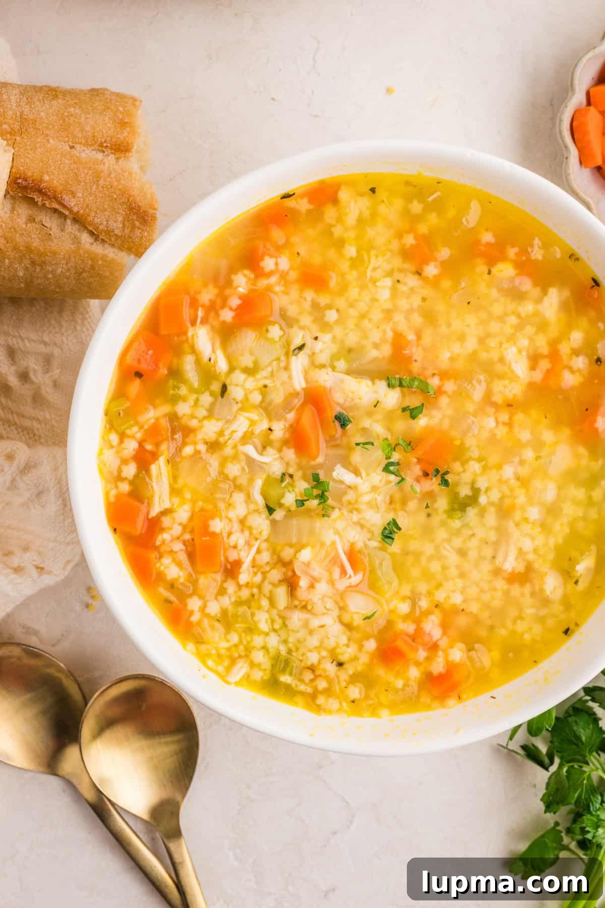 Chicken Pastina Soup: Classic Italian Penicillin Remedy 2 Bowl of chicken pastina soup with shredded chicken and tiny pasta in a clear broth, garnished with parsley