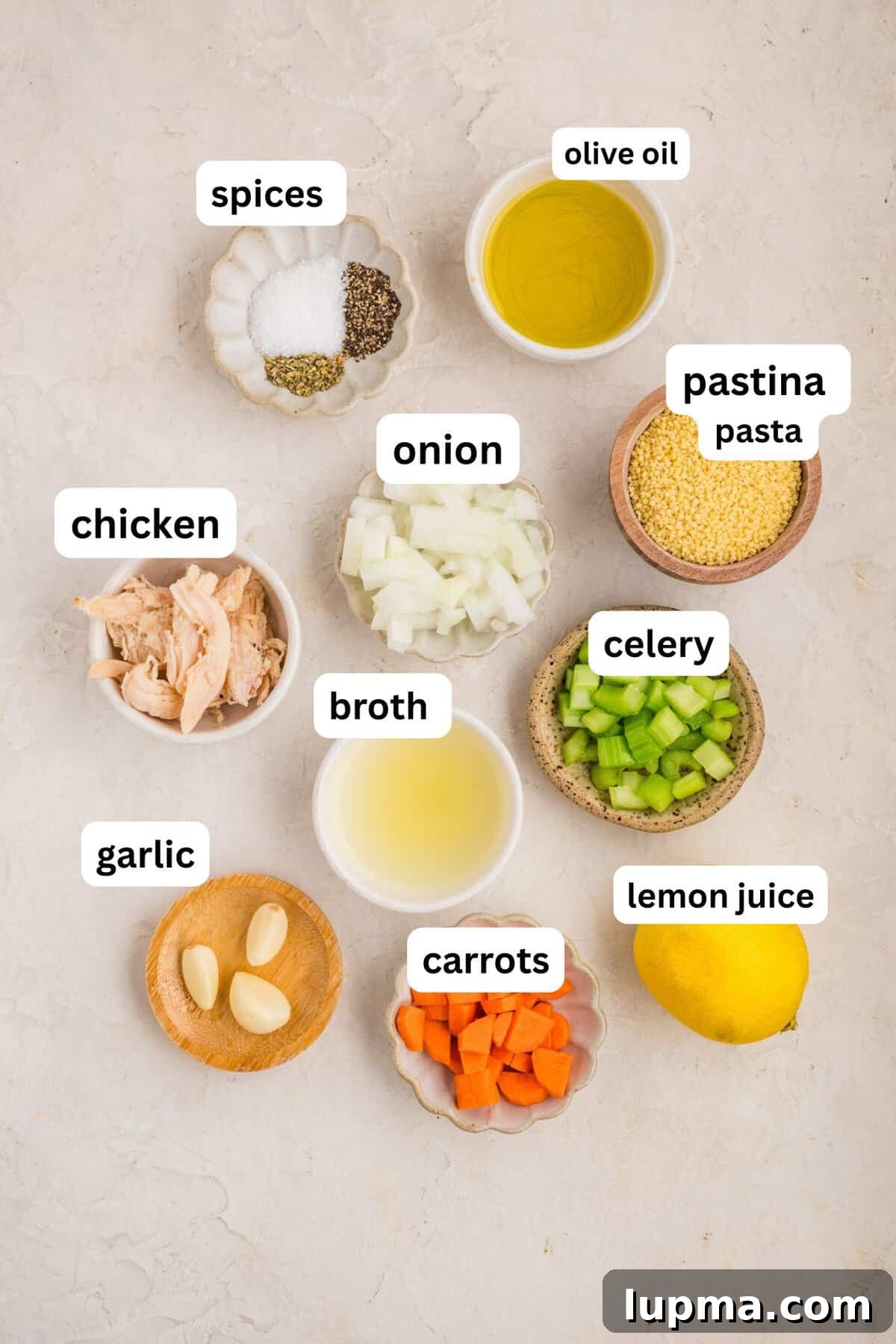 Chicken Pastina Soup: Classic Italian Penicillin Remedy 5 Recipe Ingredients for Chicken Pastina Soup