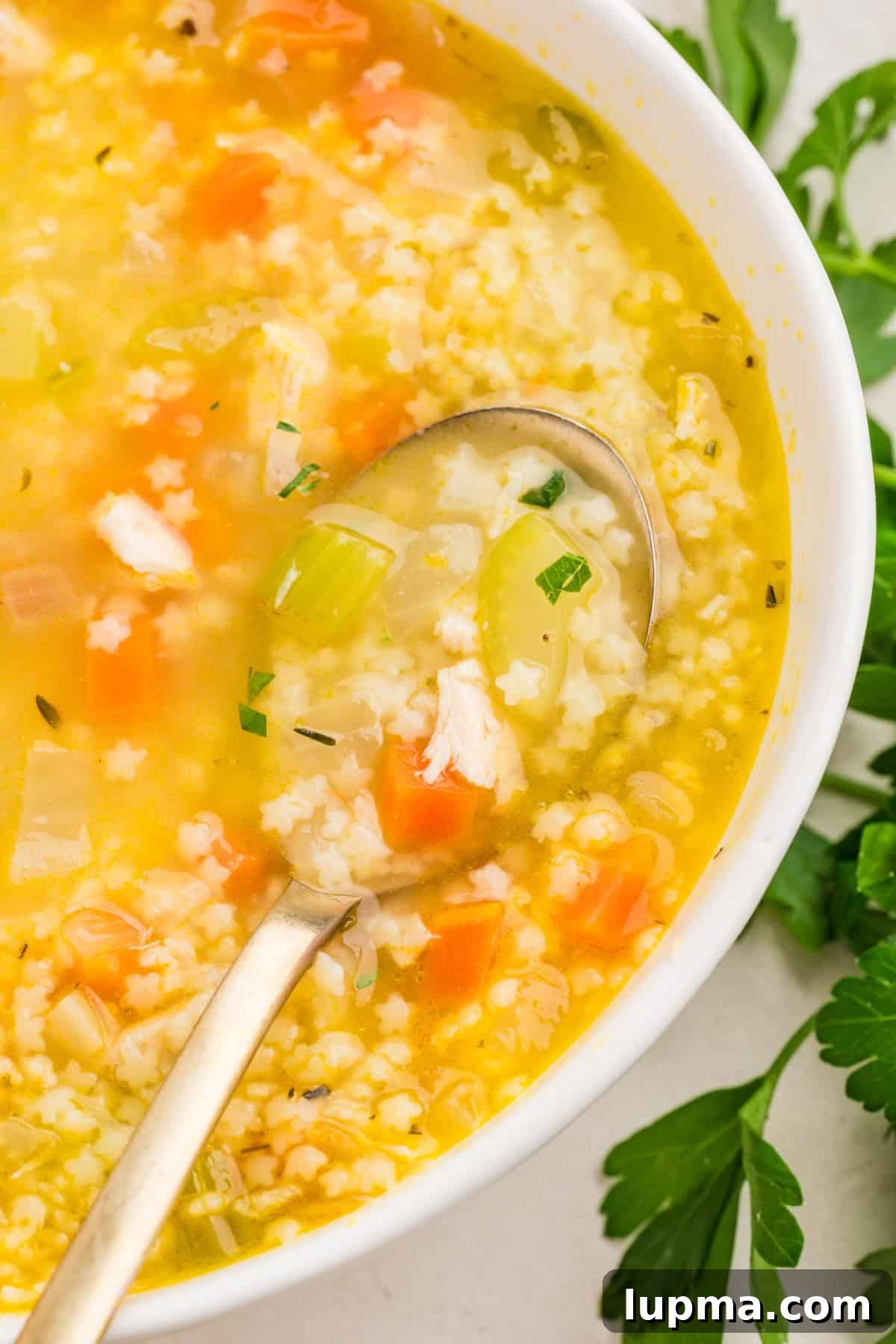 Chicken Pastina Soup: Classic Italian Penicillin Remedy 6 Overhead shot of chicken pastina soup in a white bowl with a spoon